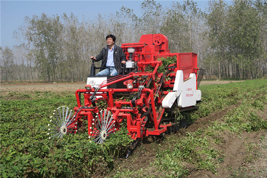 中国农科院6项成果获2015年度国家科学技术奖励