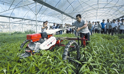 海南三亚大力推进蔬菜种植机械化