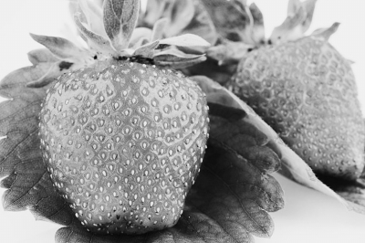 草莓如何施肥：春末夏初草莓施肥特点