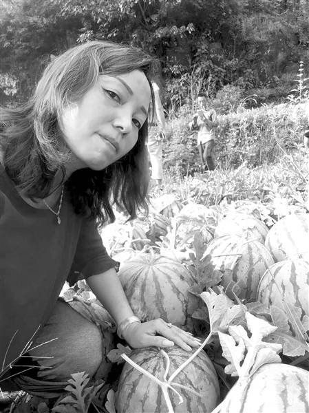陈春兰的“西瓜经”：选种早熟西瓜品种　提前上市赢商机