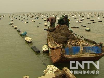 [致富经]林绍坤养殖鲍鱼让烤鳗厂起死回生被逼出的财富