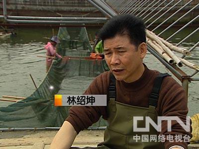 [致富经]林绍坤养殖鲍鱼让烤鳗厂起死回生被逼出的财富
