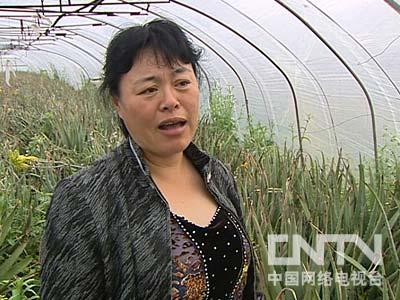 江苏常州潘英娟：种植特种蔬菜和芦荟年入千万