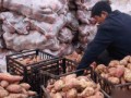 山东枣庄农村电商成功案例：红薯销到韩日欧