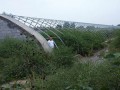 陕西：上百家建设工程队陷蔬菜大棚骗局