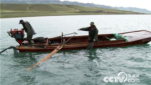 [致富经]新疆马壮赛里木湖养殖高白鲑鱼创造千万财富