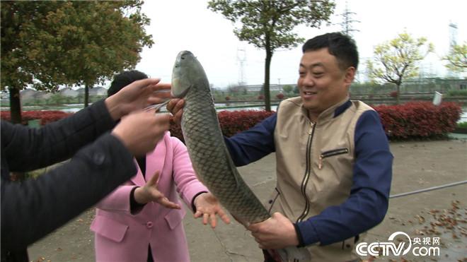 [致富经]刘建明：流水养鱼 效益猛增27倍