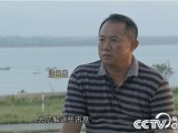 [致富经]台湾商人洪宜展养殖石斑鱼赢得千万财富的秘密