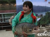 [致富经]浙江千岛湖叶香美巨网捕鱼年赚千万财