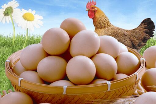 土鸡蛋变“金蛋” 宜阳小伙阮振升养鸡卖蛋的生意经