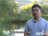 吉林通化县朱玉广卖林蛙创业月赚百万元
