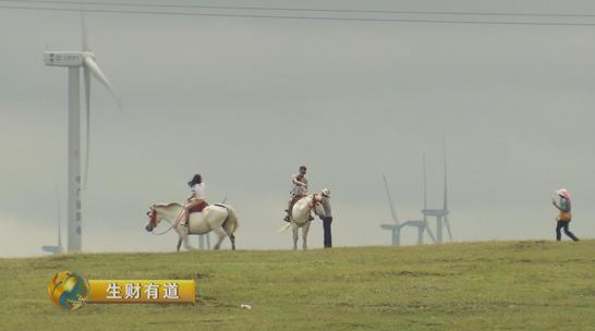 [生财有道]贵州龙里陈德龙养马赚百万财,王德林开农家乐年入50万