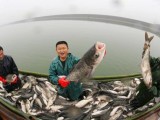 浙江湖州：年年有鱼 丰收安吉