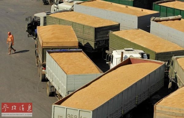俄努力扩大农产品出口 小麦出口已居世界第一
