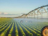 2017年农业产业结构调整重点在种业改革
