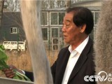72岁老人陈平安二次创业养驼鸟年销近千万元
