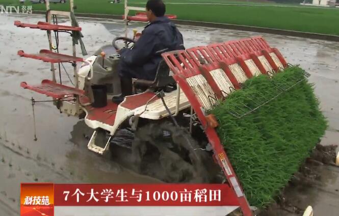 [科技苑]华西村7个年轻人怎样种1000亩水稻田