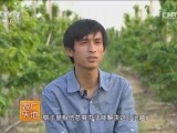 [农广天地]贾维亮改变传统种樱桃收获近百万财富
