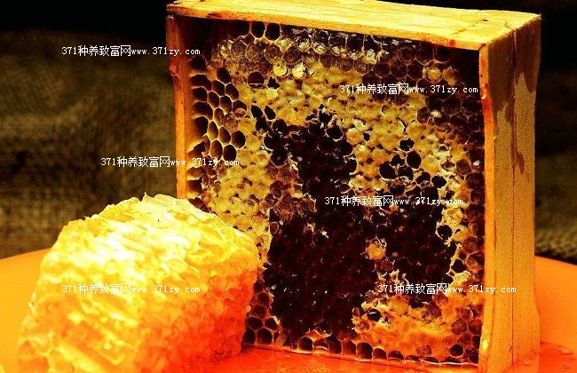 2018年蜂蜜多少钱一斤？养一箱蜜蜂的成本是多少？